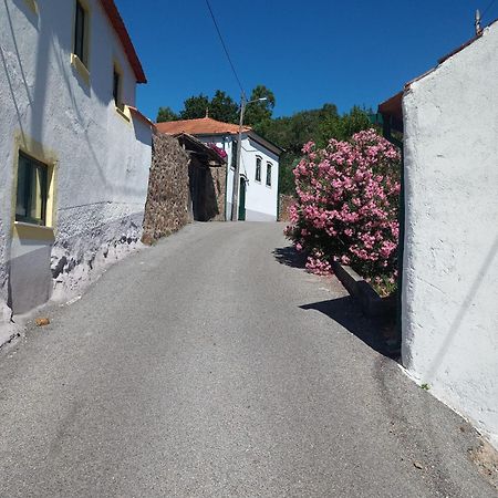 Вілла A Quinta Da Colina Каштаньєйра-де-Пера Екстер'єр фото