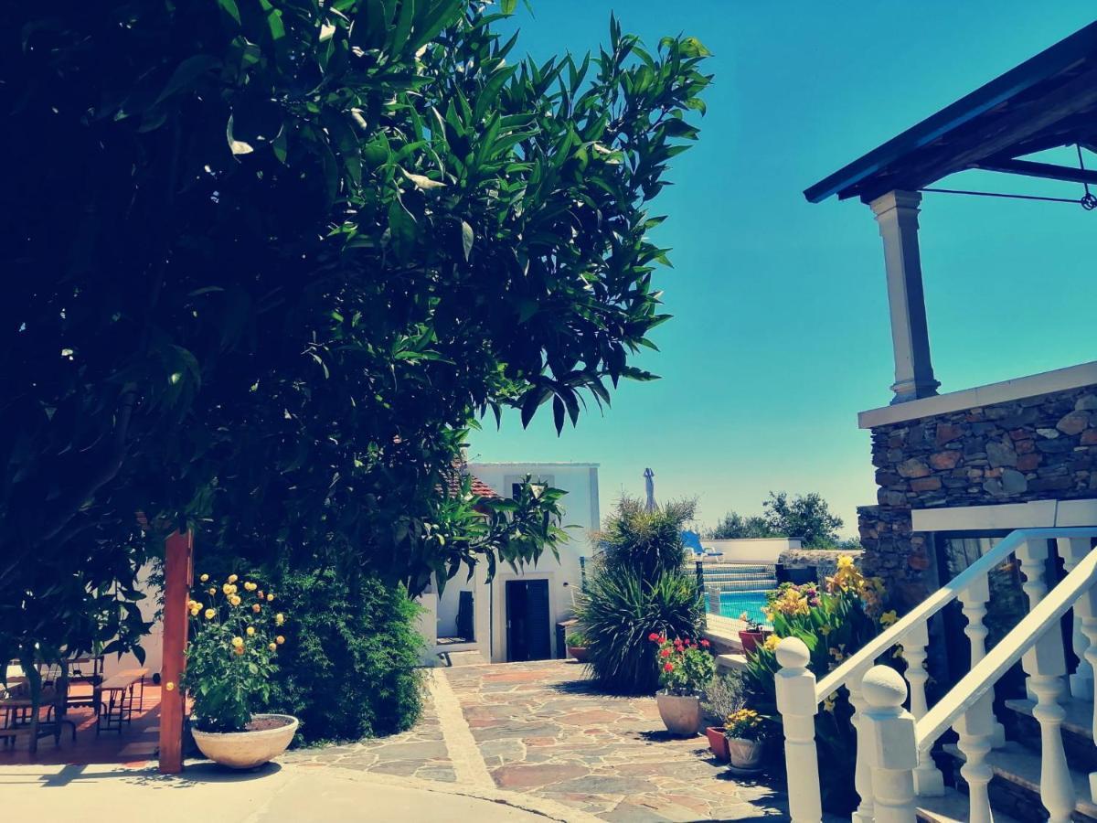 Вілла A Quinta Da Colina Каштаньєйра-де-Пера Екстер'єр фото